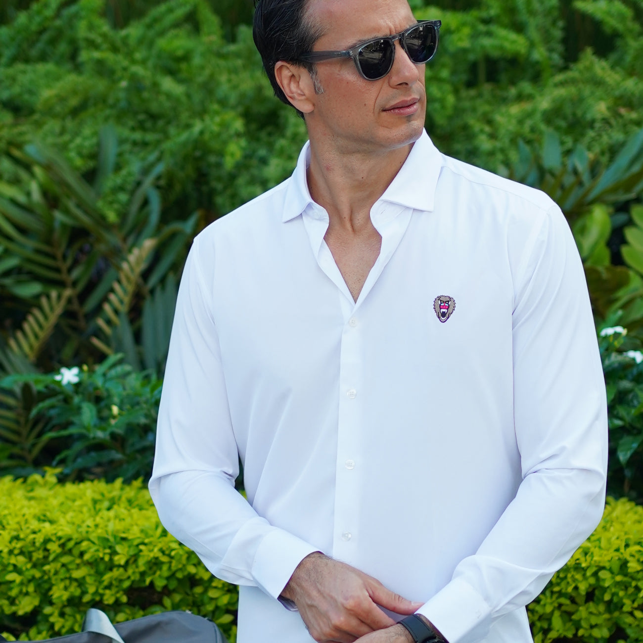 Long Sleeves Highlights