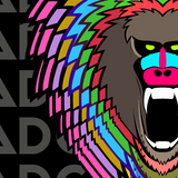 Mad Chuck Gift Card - Mad Chuck™