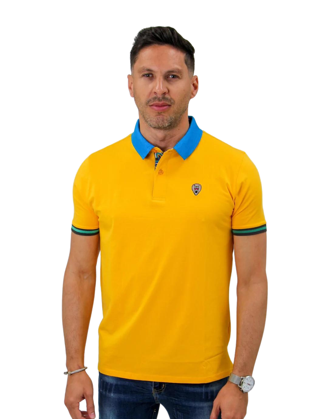 Citrus Tri-Tone Polo with Back Yoke Design - Mad Chuck™